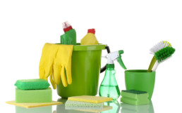 Cleaning Supplies Green.png