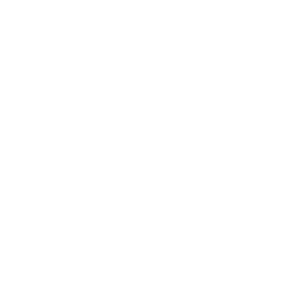 ricoh