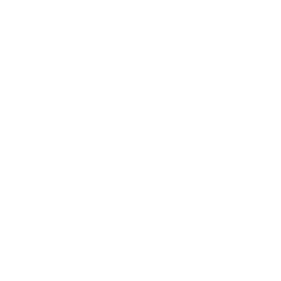 Canon logo